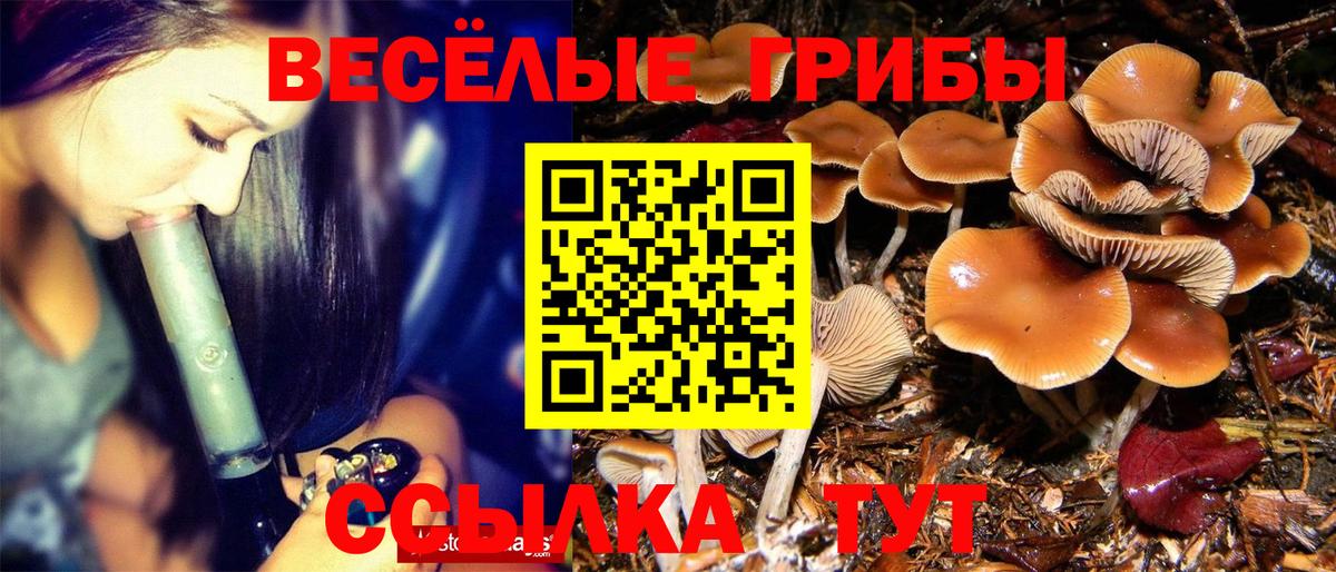 Псилоцибиновые грибы мухоморы  Вход с VPN  Салехард 
