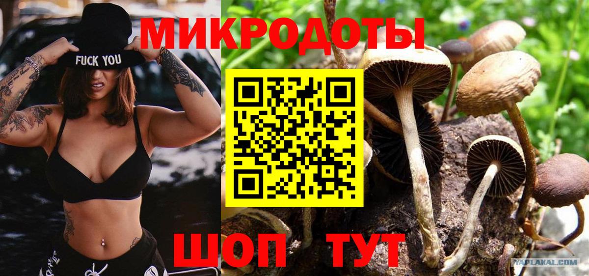 Псилоцибиновые грибы Magic Shrooms Салехард